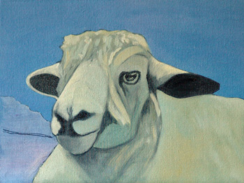 Work in progress: Portrait of a Cotswold Ewe, oil on canvas, March 2012
