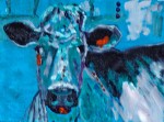 Welsh Cow oil sketch