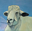 The Cotswold Ewe painting has now been sold